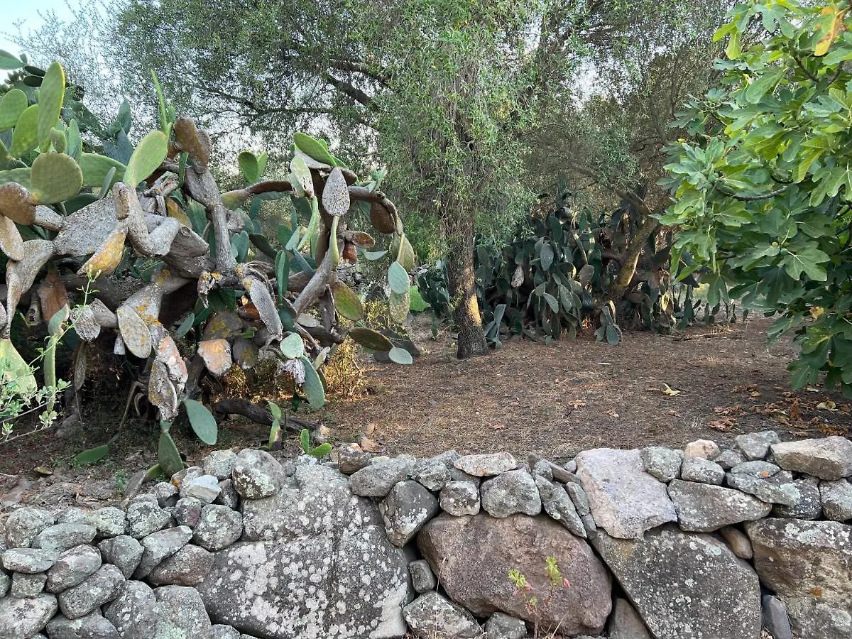 Willa Piccolo Borgo Di Pescatori San Giovanni Suèrgiu Dom wakacyjny