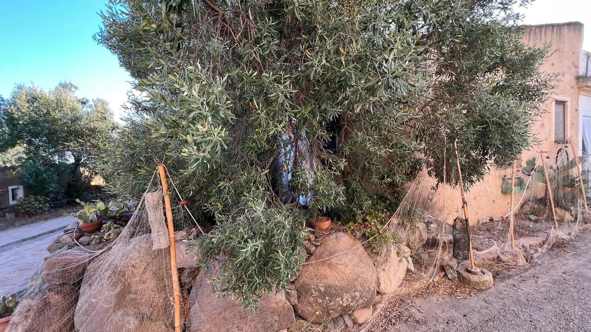 Willa Piccolo Borgo Di Pescatori San Giovanni Suèrgiu Dom wakacyjny